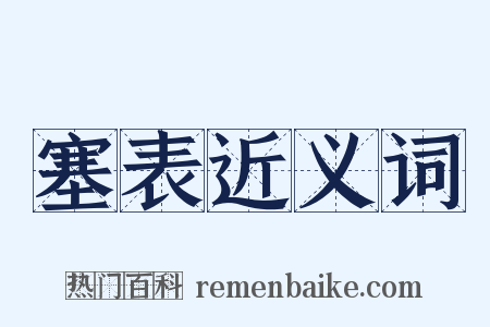 塞表近义词是什么意思的图片